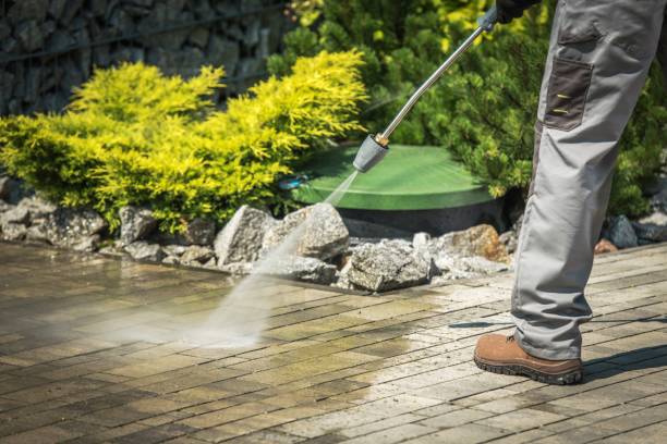 Best Animal Enclosure Cleaning  in Erie, PA