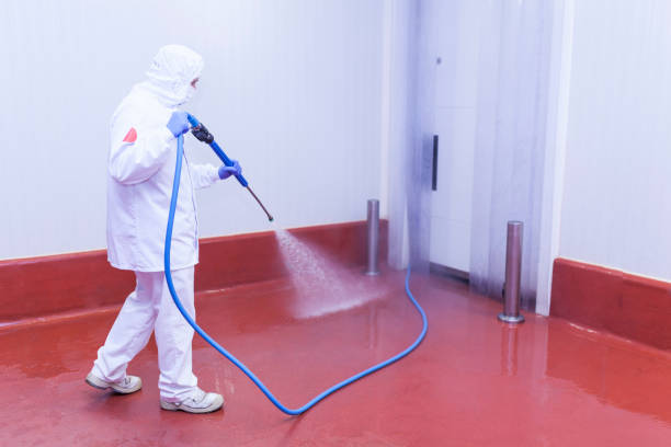 Best Soft Washing  in Erie, PA